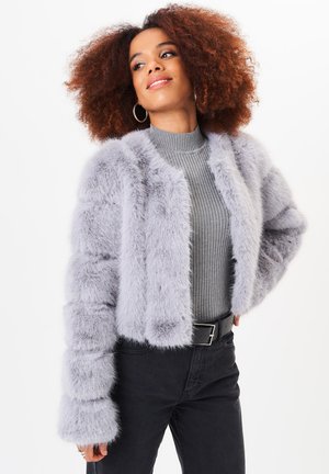 Winter jacket - silver