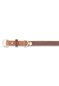 Picard DOG COLLAR SUSI  - Belt - cafe