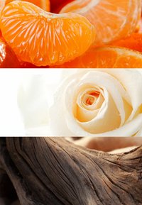 DAVIDOFF Fragrances COOL WATER SEA ROSE EAU DE TOILETTE - Colonia