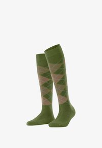 Unausgewählt, cactus