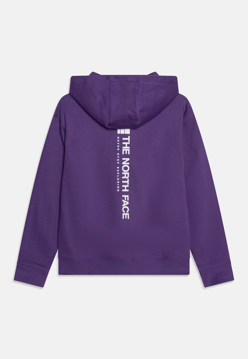 The North Face VERTICAL GRAPHIC OVERSIZED HOODIE UNISEX Hoodie