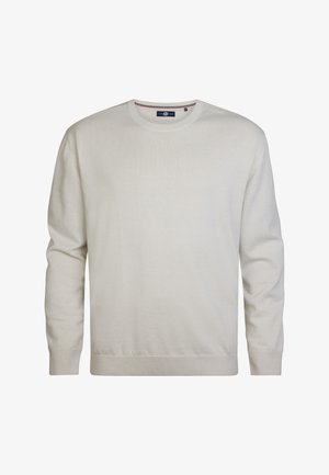 Petrol Industries, PLUS SIZE BASIC CREW NECK RHINELANDER - Striktrøje - antique white melee