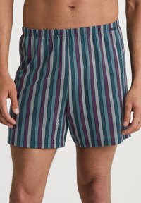 Gestreepte zwemb trunks in blauw, wit en paars; elastische tailleband; lichtgewicht materiaal; knie-lange pasvorm; verticale strepen met verschillende breedtes.