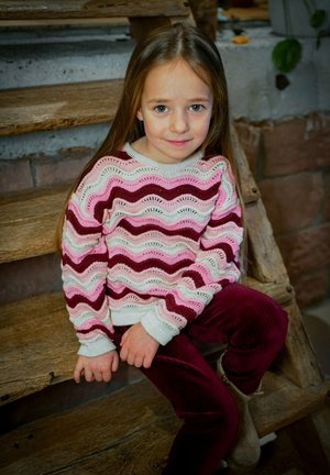 DANAMADE, DANAMADE PULLOVER DTYRA - Jumper - bordeaux