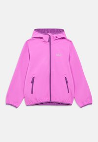 Unausgewählt, foxglove