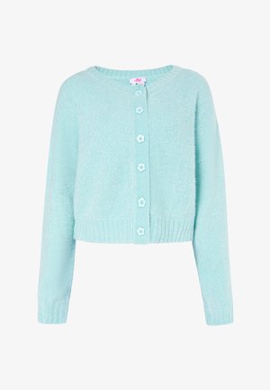 Cardigan - aqua