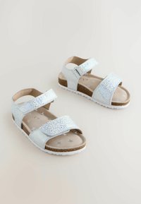 Neselectat, silver-coloured