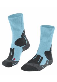 Unausgewählt, arctic sky