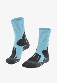 Unausgewählt, arctic sky