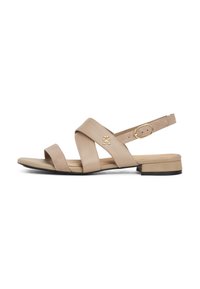 Unselected, coastal taupe