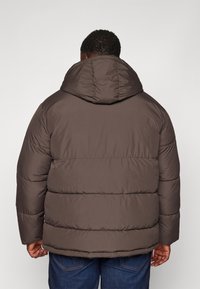 Jack & Jones JJWORLD PUFFER JACKET  - Winter jacket - mulch