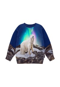 Felpa crewneck blu navy con grafica di un orso polare e l'aurora boreale. Tessuto morbido, paesaggio roccioso dettagliato e accenti nevosi.