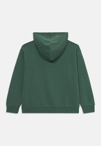 Pull à capuche vert en tissu texturé, avec une capuche doublée et des poignets côtelés. Le design présente une coupe décontractée et un dos épuré et minimaliste.