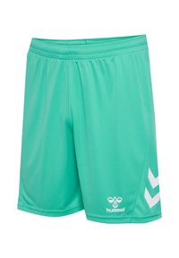 Pantaloni sportivi verdi realizzati in tessuto leggero. Presentano una vita elastica, aperture laterali e un logo bianco con dettagli decorativi sul lato.