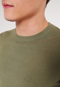 Olivgrüner Rundhalsausschnitt-Pullover aus Strickstoff, mit einem gerippten Kragen und glatter Textur, geeignet für die Freizeit.