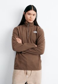 The North Face GLACIER 1/4 ZIP - Vesta od flisa - smokey brown