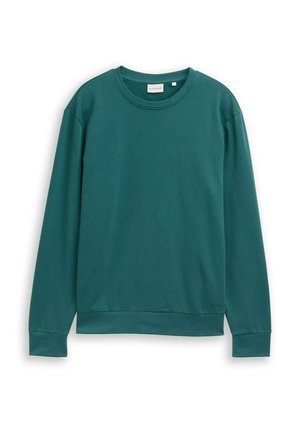 Teal lange mouwen sweatshirt gemaakt van gladde stof, met een ronde hals, ribgebreide manchetten en een relaxte pasvorm. Minimalistisch ontwerp, zonder patronen.
