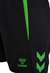 Unausgewählt, black/green gecko