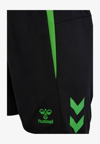 Unausgewählt, black/green gecko