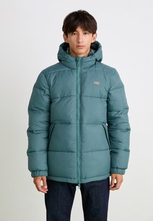 WALDENBURG HOODED - Winter jacket - lincoln green