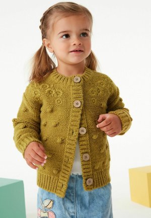 CHUNKY - Kardigan - green