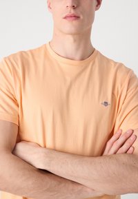 Kortærmet t-shirt med rund hals i ferskenfarve, lavet af blød bomuld. Har et lille broderet logo på brystet. Glat tekstur.
