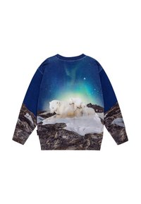 Felpa in pile con una scena di un orso polare, un'aurora e un paesaggio roccioso. Predominantemente blu con immagini dettagliate dell'orso.