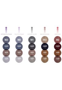 Hair color swatches in circular shapes featuring shades: Intense Platinum, Pale Platinum, Intense Silver, Mauve Blonde, Iced Rose, with tones and accents indicated.