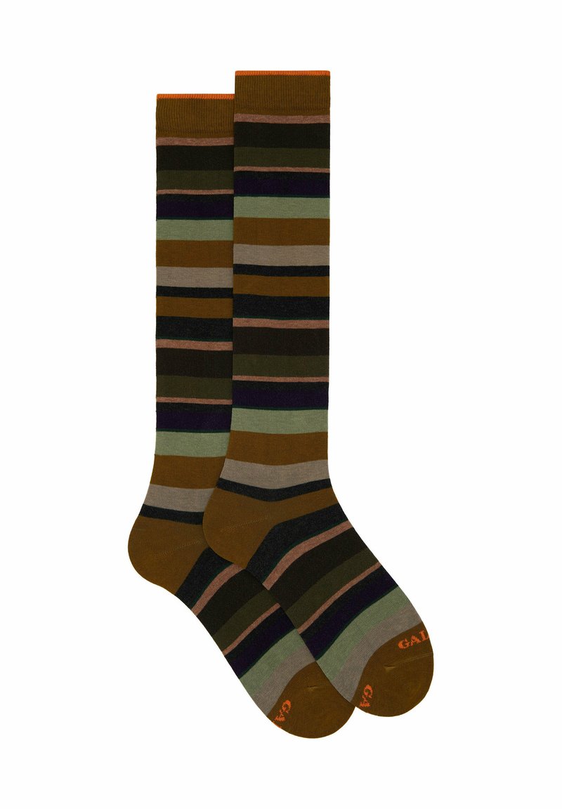 Gallo WITH STRIPES - Knee high socks - pistacchio