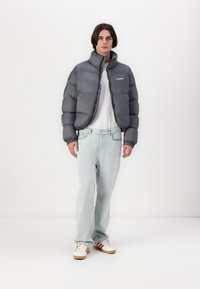 LOW LIGHTS STUDIOS® LYNX PUFFER JACKET UNISEX - Vinterjakke - anthrazit