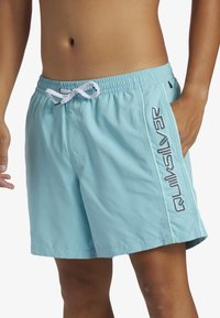 Quiksilver EVERYDAY VERT VOLLEY 16 - Bañador corto - bha
