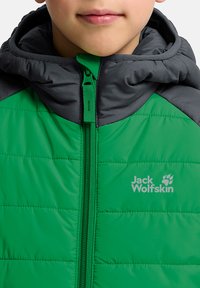 Grüne flauschige Jacke mit schwarzer Kapuze und Schulterakzenten, ausgestattet mit einem Frontreißverschluss und einem weißen Logo auf der Brust.