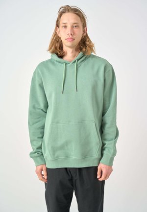 LIGULL BOXY - Kapuzenpullover - comfrey green