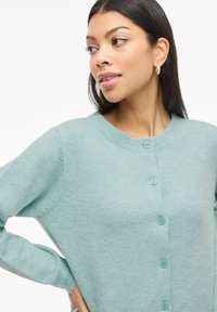 Gaiši zaļš kardigans no mīksta auduma, ar apaļu kakla izgriezumu un pogām priekšpusē, ar gariem piedurknēm un ribotām aprocēm.