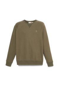 EXETER RIVER REGULAR CREW - Sweatshirt - leaf green cassel earth