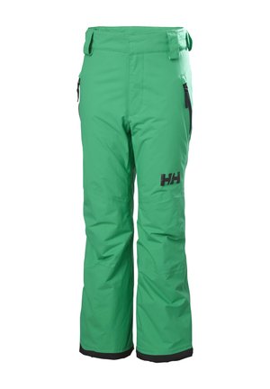 LEGENDARY PANT UNISEX - Pantalón de nieve - bright green