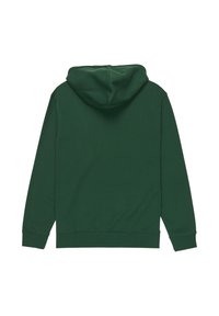 Sudadera verde con capucha, mangas largas, puños acanalados y dobladillo inferior. Textura suave y diseño minimalista, mostrada desde la parte posterior.