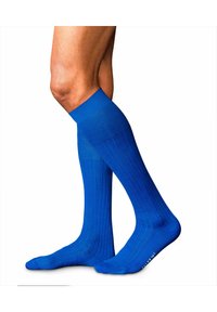 FALKE No. 2 - Kniestrümpfe - olympic