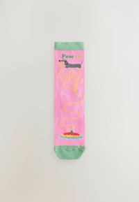 Next 4 PACK   - Socks - pasta dogs slogan