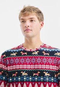 Rode en marineblauwe lange mouw shirt met een feestelijk patroon met illustrations van teckels, sneeuwvlokken en kerstbomen. Zachte stof met een ronde hals.