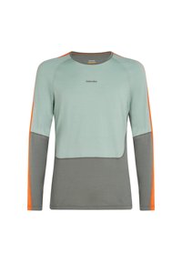 Långärmad tröja med en mintgrön övre del, grå nederdel och orange inslag på ärmarna. Har rundad halsringning och logodetalj.