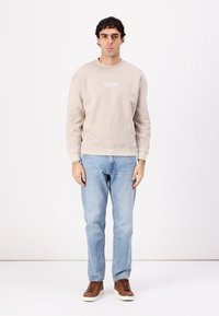 Pulover bej cu guler rotund, manșete și tiv cu țesătură elastică, purtat cu blugi albaștri deschiși și adidași maronii. Detaliu imprimat minimalist pe piept.