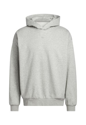 Light gray hooded sweatshirt with ribbed cuffs and hem, displayed on a plain white background.