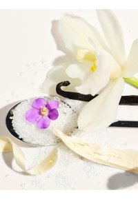 Fleur et gousse de vanille, cuillère avec des cristaux de sucre blanc et petite fleur violette sur une surface blanche.