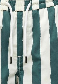 Shorts verts et blancs à rayures verticales avec une taille élastique et des cordons blancs avec embouts métalliques.