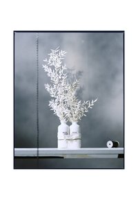 Immagine in miniatura 4