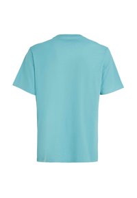 Camiseta de manga corta azul claro, hecha de algodón. Presenta un cuello redondo y una textura suave y lisa. Espalda lisa sin gráficos ni acentos.