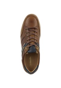 Zapatilla de cuero marrón con una superficie suave, detalles perforados, acentos en azul oscuro, puntera redonda y cordones planos. Branding en dorado en el interior.