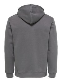 Grijze hoodie met lange mouwen, capuchon, geribbelde manchetten en zoom, gezien van achteren zonder zichtbaar ontwerp of logo's.