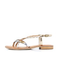 Sandali piatti metallici oro e argento con dettagli intrecciati e fibbia su un plantare in pelle marrone e un tacco in legno stratificato.